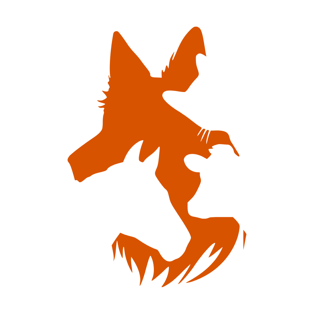 Noémie Petrequin - Ostéopathe Animalier